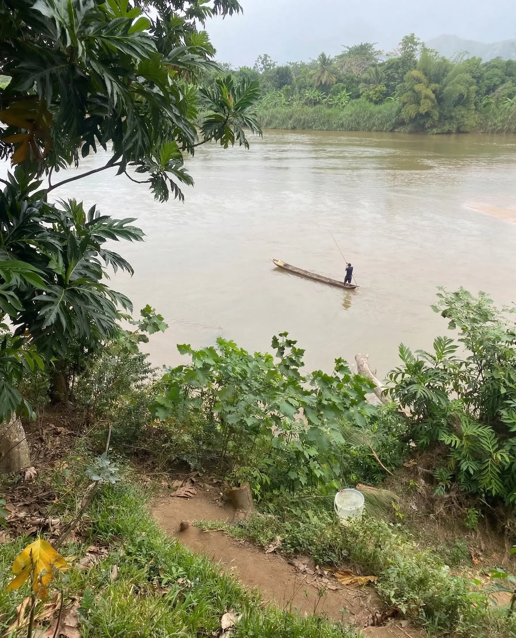 Plantation Madagascar