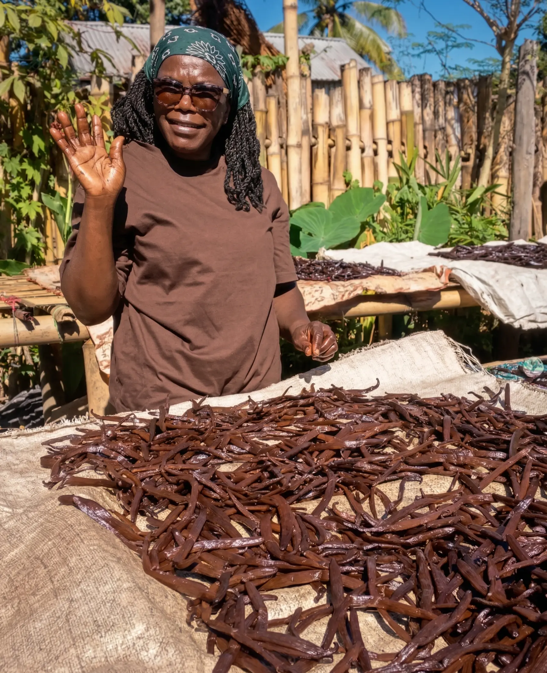 Séchage de la vanille