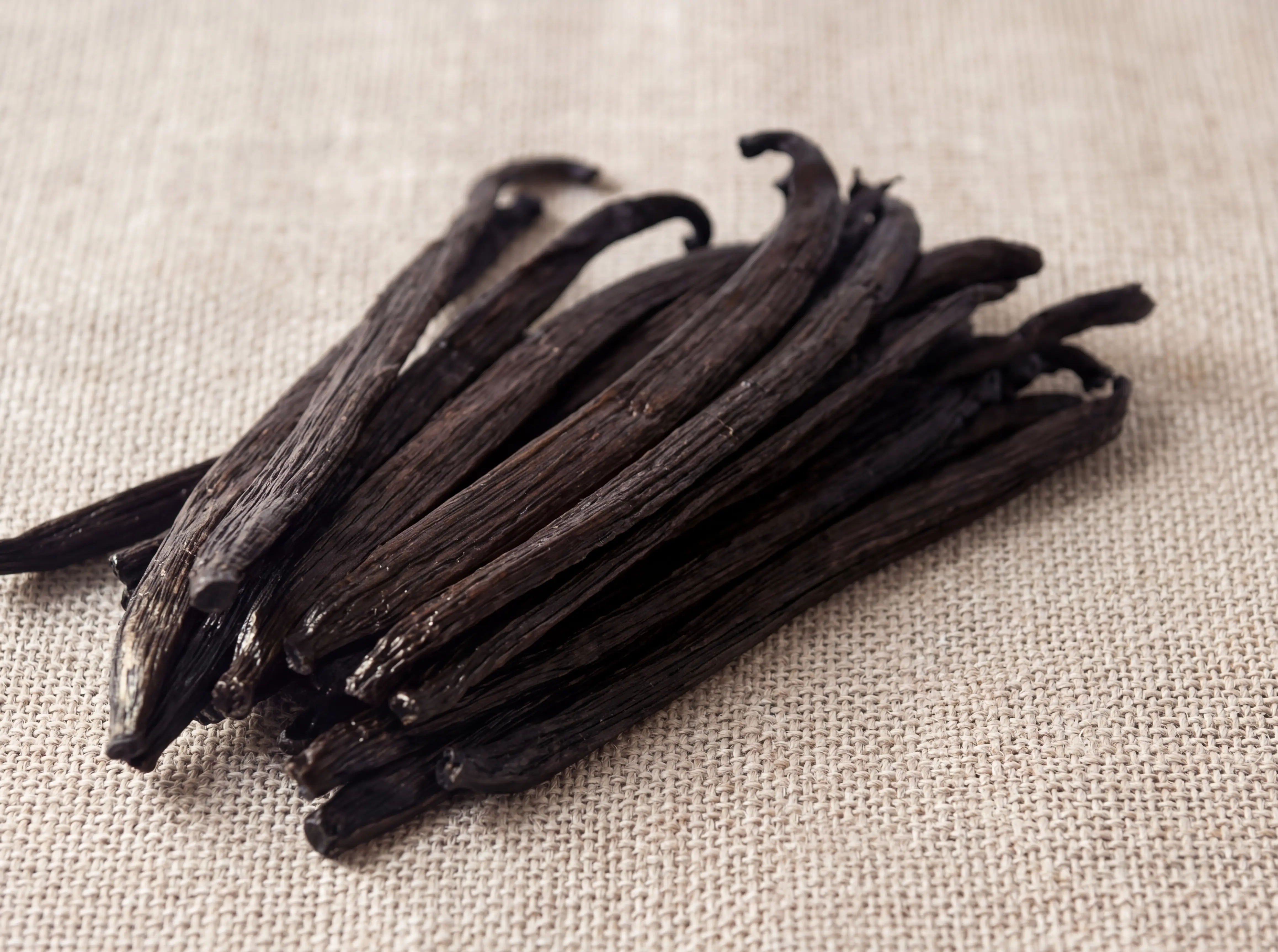 Grandes et grosses gousses